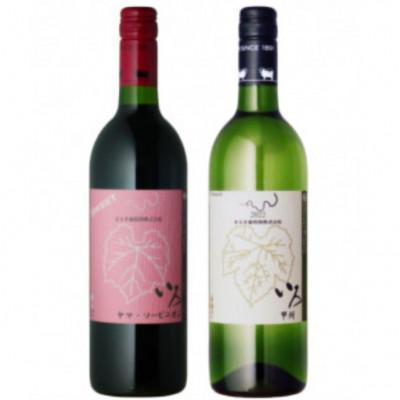 ふるさと納税 甲州市 まるき[いろシリーズ]2本 いろヤマ・ソービニオン いろ甲州