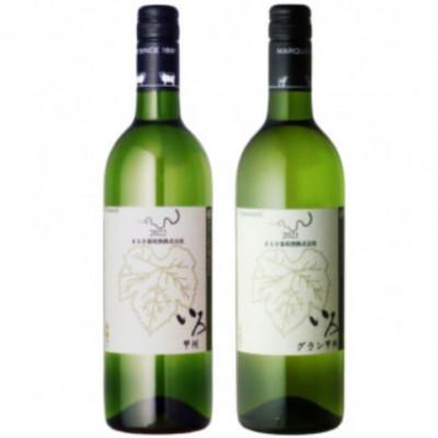 ふるさと納税 甲州市 まるき[いろシリーズ]2本 いろ甲州 いろグラン甲州