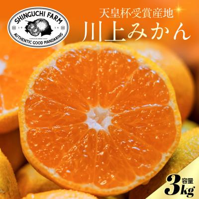 ふるさと納税 八幡浜市 [天皇杯受賞産地]川上みかん 3kg[小玉][愛媛県八幡浜市]新口農園厳選[A70-121]