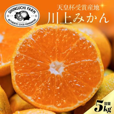 ふるさと納税 八幡浜市 [天皇杯受賞産地]川上みかん 5kg[愛媛県八幡浜市]新口農園厳選[C70-122]