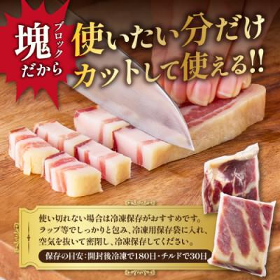 ふるさと納税 京丹後市 手仕込み熟成パンチェッタ ブロック 800g (約200g×4袋) 〜燻製してない生ベーコン〜 |  | 03