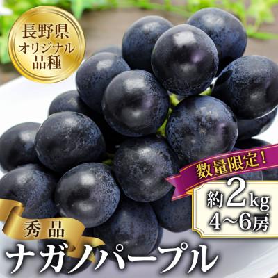 ふるさと納税 千曲市 [2026年先行予約]ナガノパープル 約2kg(4〜6房 ※最低1.8kg以上)