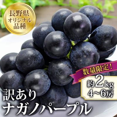 ふるさと納税 千曲市 [2026年先行予約]訳あり ナガノパープル 約2kg(4〜6房 ※最低1.8kg以上)