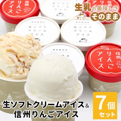 ふるさと納税 根羽村 生ソフトクリームアイス&amp;信州りんごアイス 7個
