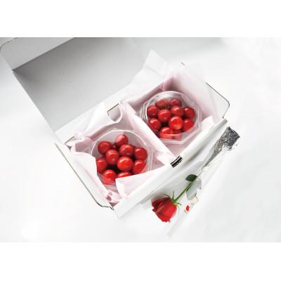 ふるさと納税 寒河江市 母の日 寒河江市 ハウスさくらんぼ 佐藤錦 秀品 L玉100g×2パック&amp;バラ(生花)付き