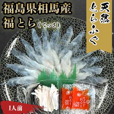 ふるさと納税 相馬市 [常磐もの新名物!福とら]天然とらふぐ てっさ 1人前 60g (刺身40g/皮20g)ふぐ刺し