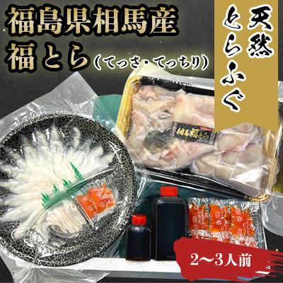 ふるさと納税 相馬市 [常磐もの新名物!福とら] 天然とらふぐ てっさ てっちり鍋セット 2-3人前 ふぐ刺し ふぐちり