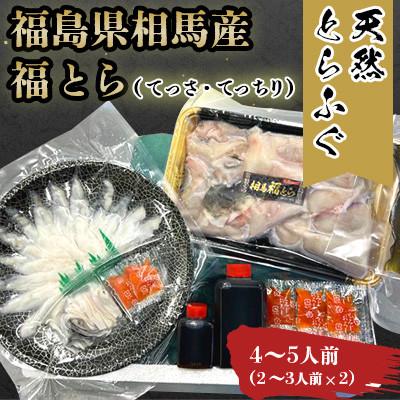 ふるさと納税 相馬市 [常磐もの新名物!福とら] 天然とらふぐ てっさ てっちり鍋セット 4-5人前 ふぐ刺し ふぐちり