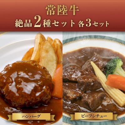 ふるさと納税 下妻市 [常陸牛]絶品2種セット(ハンバーグ・ビーフシチュー各3セット)
