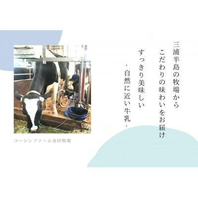 ふるさと納税 三浦市 みうらみるく 飲みきりサイズ 200ml×5本