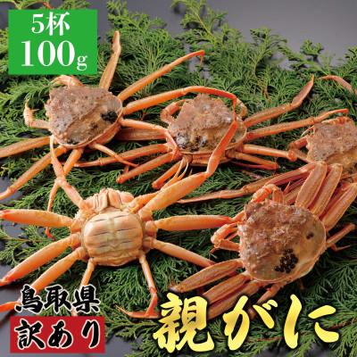 ふるさと納税 北栄町 [2025年11月発送]鳥取県産 訳あり 親がに 姿[セコガニ](活)100g 5杯 N49_I