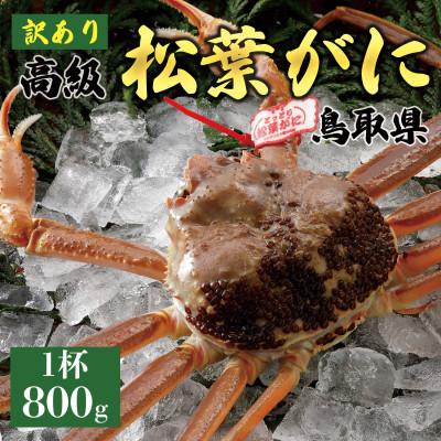ふるさと納税 琴浦町 [2025年11月発送]訳あり 松葉がに(生)800g1杯 N25_I