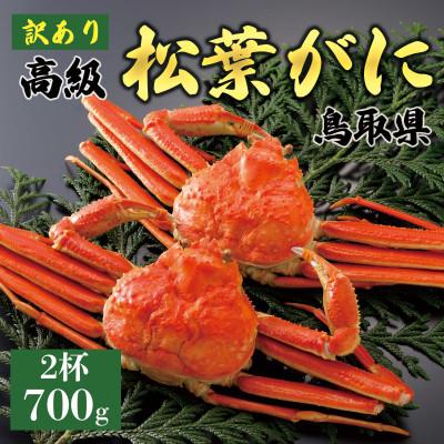 ふるさと納税 琴浦町 [ボイル][訳あり]厳選松葉がに 特大2杯(700g以上×2杯)2025年11月発送 N29_Y