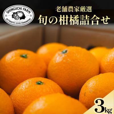 ふるさと納税 八幡浜市 愛媛みかんの老舗厳選 旬のプレミアム柑橘 詰め合わせ 3kg[D70-129]