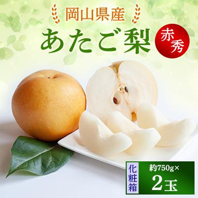 ふるさと納税 里庄町 [2025年発送]あたご梨 2玉 化粧箱 約750g玉(A2-75)