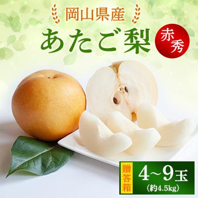 ふるさと納税 里庄町 [2025年発送]あたご梨 4.5kg 贈答箱 4〜9玉(A45-4-9)