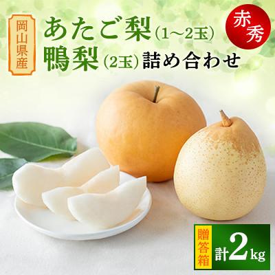 ふるさと納税 里庄町 [2025年発送]詰め合わせ 2kg 贈答箱 あたご 1〜2玉・鴨梨 2玉(AY-20)