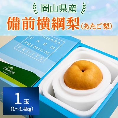 ふるさと納税 里庄町 [2025年発送]備前横綱梨 1玉箱 (1〜1.4kg玉)(BY1-10)