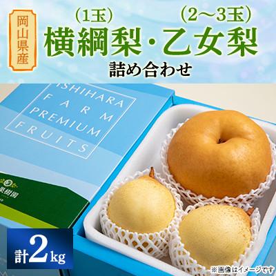 ふるさと納税 里庄町 [2025年発送]詰め合わせ2kg箱 横綱梨1玉(1〜1.4kg玉)・乙女梨2〜3玉(YO2-10)