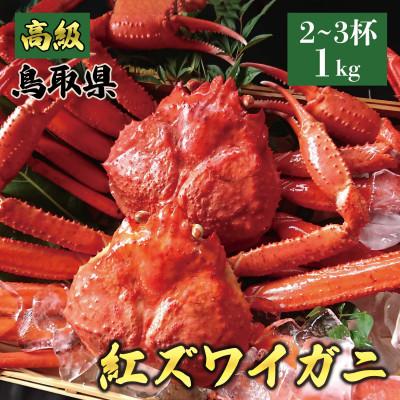 ふるさと納税 北栄町 鳥取産 特撰 紅ズワイガニ[釜茹で]1kg 2〜3杯