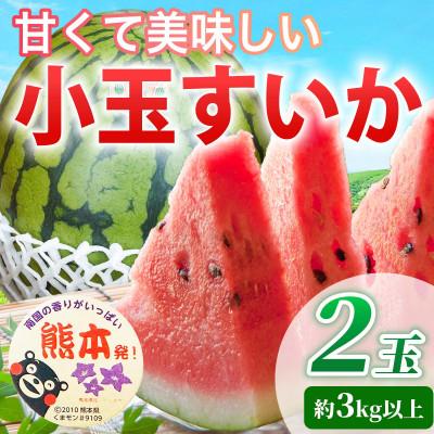ふるさと納税 菊池市 小玉すいか 2玉入り 3L 約3kg以上(菊池市)