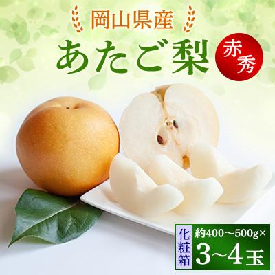 ふるさと納税 新見市 [2025年発送]あたご梨 3〜4玉 化粧箱 約400〜500g玉(A3-05)