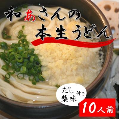 ふるさと納税 美馬市 和ぁさんのおうどん いたれりつくせりセット10人前(薬味付き)