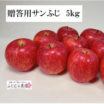 ふるさと納税 盛岡市 [先行予約]ふじむら農園 贈答用サンふじ 5kg