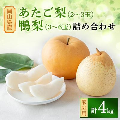 ふるさと納税 新見市 [2025年発送]家庭用 詰め合わせ 4kg箱 あたご梨 2〜3玉・ヤーリー 3〜6玉(AY-K)