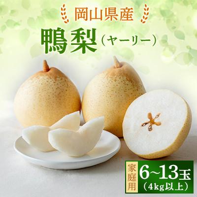 ふるさと納税 新見市 [2025年発送]家庭用 ヤーリー 4kg箱 6〜13玉(YR-K)