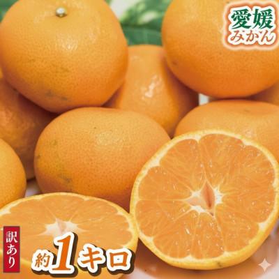 ふるさと納税 松山市 [訳あり] 愛媛みかん約1Kg