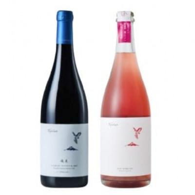 ふるさと納税 甲州市 フジクレール 峡東マスカット・ベーリーA・ロゼスパークリング 計2本セット