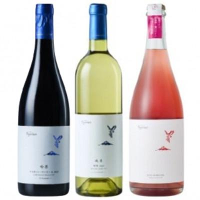 ふるさと納税 甲州市 フジクレール 吟果マスカット・ベーリーA・峡東甲州・ロゼスパークリング 計3本セット