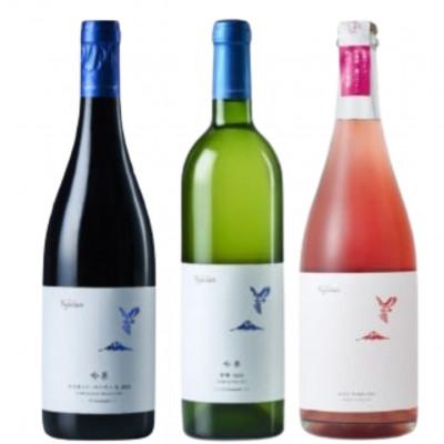 ふるさと納税 甲州市 フジクレール 吟果マスカット・ベーリーA・吟果甲州・ロゼスパークリング 計3本セット