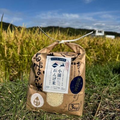 ふるさと納税 日高町 2025年(令和7年)産!日高町小浦の小浦れんげ米[玄米]3kg
