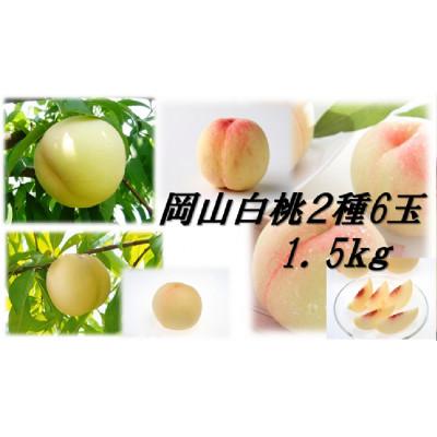 ふるさと納税 浅口市 岡山白桃食べ比べ 早生種 2種類6玉
