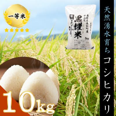 ふるさと納税 長和町 令和7年産 コシヒカリ10キロ(kg) 軟水「黒耀水」育ち 長野県長和町産 農家直送 一等米精白米
