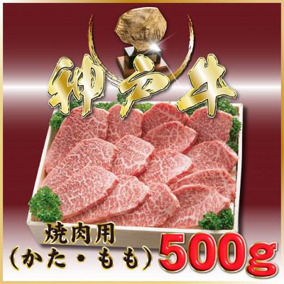 ふるさと納税 小野市 神戸牛(神戸ビーフ) 焼肉用 500g ONY2 [2026年4月より順次発送]