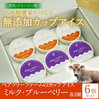ふるさと納税 平谷村 [放牧ジャージー]ペアツリーファームのカップアイス[ピュアミルク・ブルーベリー 各3個]計6個セット