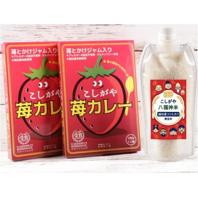 ふるさと納税 越谷市 2人前[カレーライスセット]こしがや苺カレー・こしがや八福神米(無洗米)