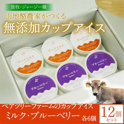 ふるさと納税 平谷村 [放牧アイス]ペアツリーファームのカップアイス[ピュアミルク・ブルーベリー 各6個]計12個セット