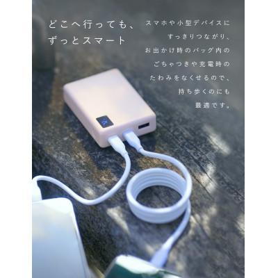 ふるさと納税 守口市 CIO スパイラルケーブル CtoC 2m 充電ケーブル