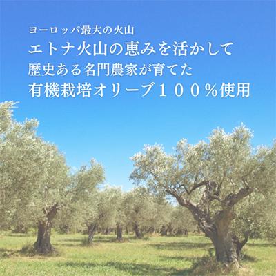 ふるさと納税 袋井市 有機栽培 朝摘み シチリア産エキストラバージンオリーブオイル1本　2026年11月下旬より順次発送 |  | 02