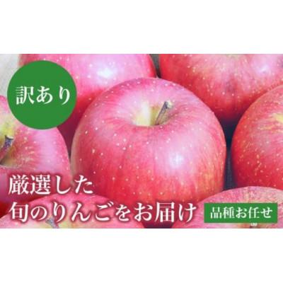 ふるさと納税 小布施町 [訳あり] 旬のりんご 約3kg 6〜14玉