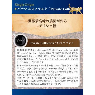 ふるさと納税 藤沢市 パナマ　エスメラルダ農園　プライベートコレクション　ゲイシャ　ナチュラルとウォッシュド飲み比べ(豆)_1