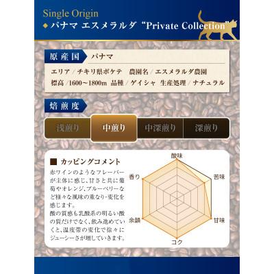 ふるさと納税 藤沢市 パナマ　エスメラルダ農園　プライベートコレクション　ゲイシャ　ナチュラルとウォッシュド飲み比べ(豆)_2
