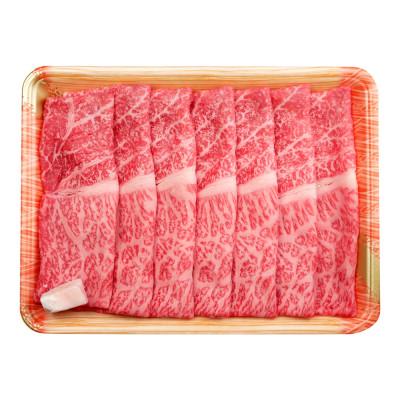 ふるさと納税 多治見市 飛騨牛 すき焼き用 もも・かた肉 500g(牛脂付き)