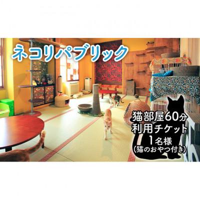 ふるさと納税 文京区 猫部屋60分利用チケット猫用おやつ付き 保護猫カフェ 動物 ふれあい 