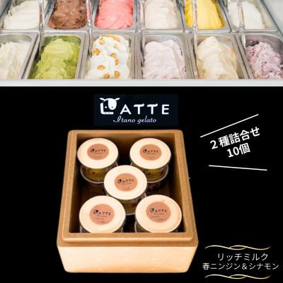 ふるさと納税 板野町 [2種10個入り]春にんじん&amp;シナモン|ミルク「自家生乳ジェラート」 井上牧場直営のジェラート専門店