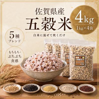 ふるさと納税 鳥栖市 【雑穀5】1kg×4袋(佐賀県産　五穀米)(鳥栖市) | 